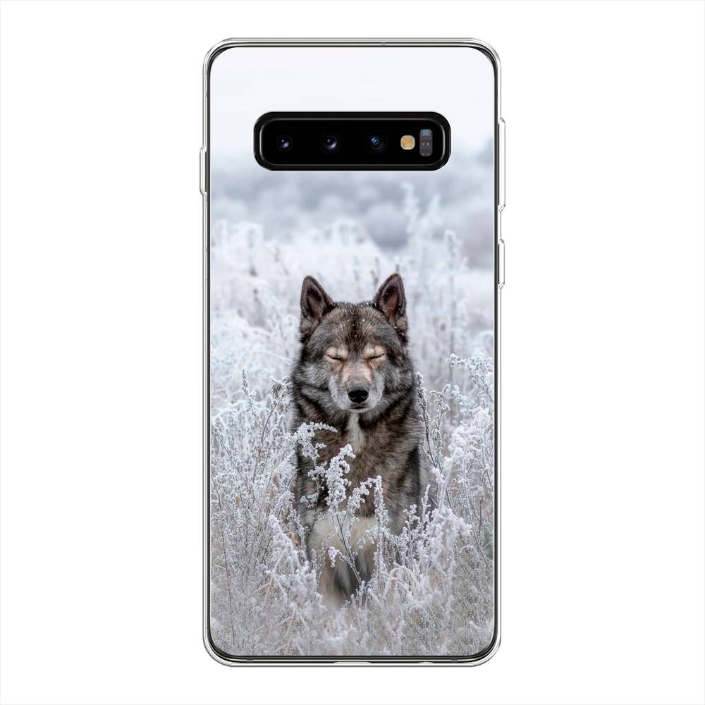 Чехол Awog на Samsung Galaxy S10 + "Волк в поле", Разноцветный, 27150-1
Чехол Awog на Samsung Galaxy S10 + "Волк в поле", Разноцветный, 27150-1