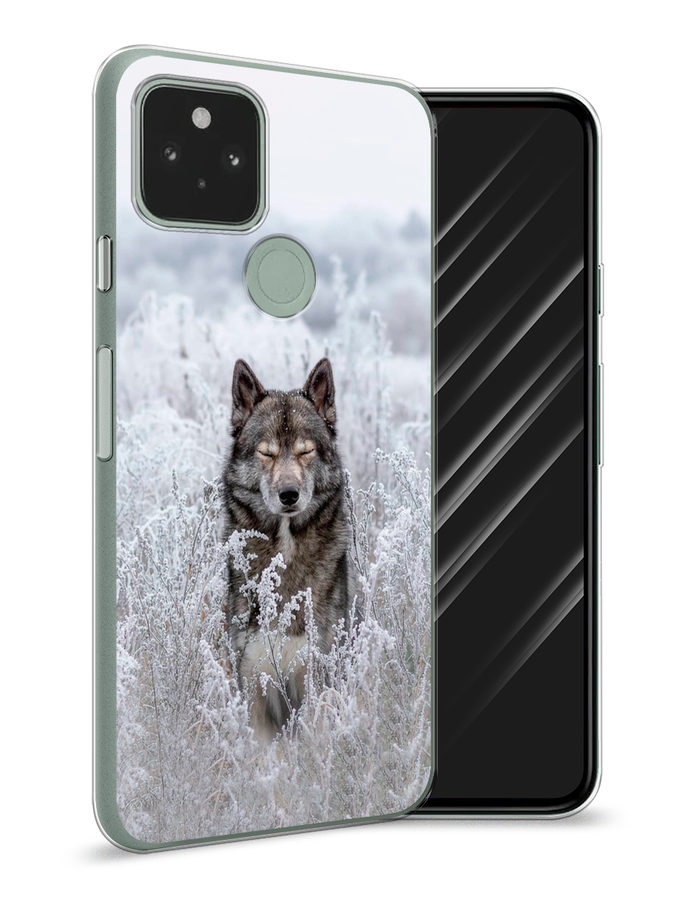Чехол Awog на Google Pixel 5A "Волк в поле", Разноцветный, 271050-1 
Чехол Awog на Google Pixel 5A "Волк в поле", Разноцветный, 271050-1