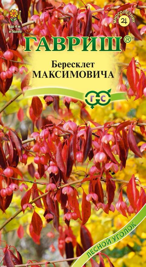 Семена. Бересклет "Максимовича" (10 пакетов по 0,2 г) (количество товаров в комплекте: 10)
Семена. Бересклет "Максимовича" (10 пакетов по 0,2 г) (количество товаров в комплекте: 10)