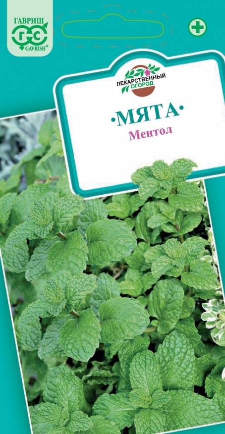 Семена. Мята садовая "Ментол" (10 пакетов по 0,05 г) (количество товаров в комплекте: 10)
Семена. Мята садовая "Ментол" (10 пакетов по 0,05 г) (количество товаров в комплекте: 10)