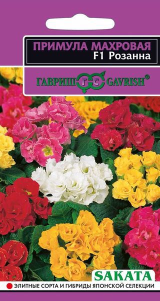 Семена. Примула "Розанна F1", махровая, смесь, Саката (10 пакетов по 4 штуки)
Семена. Примула "Розанна F1", махровая, смесь, Саката (10 пакетов по 4 штуки)