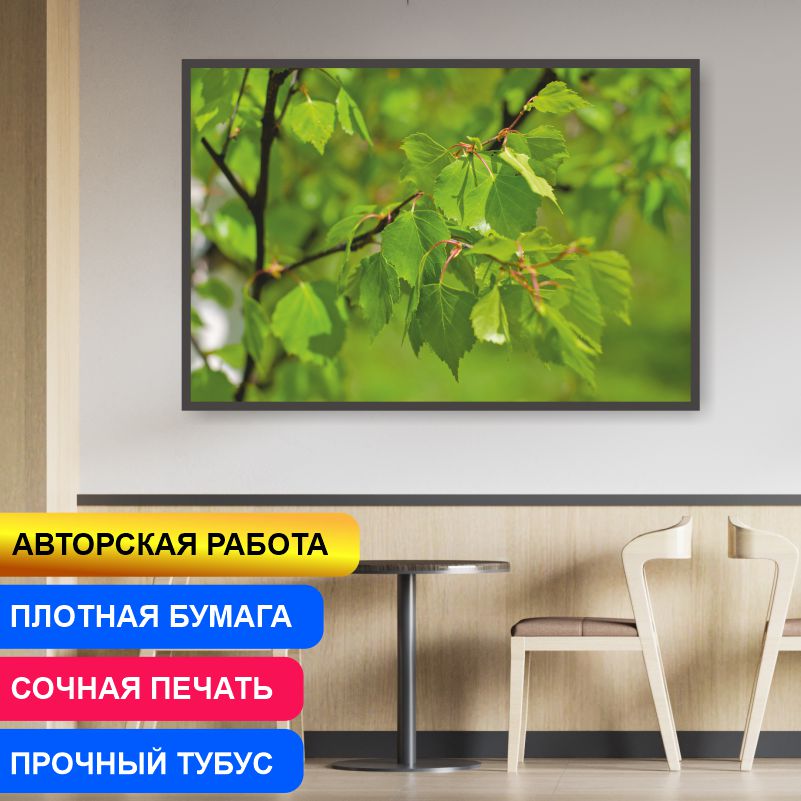Постер на стену ПолиЦентр Молодые Листья Березы Урал 70х50 см, АвторАлексейКлянинМолодыеЛистьяБерезыУрал
Постер на стену ПолиЦентр Молодые Листья Березы Урал 70х50 см, АвторАлексейКлянинМолодыеЛистьяБерезыУрал