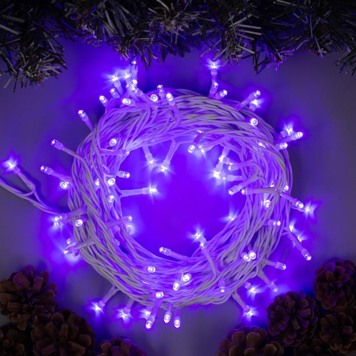 Световая гирлянда новогодняя Luazon Lighting Нить 3584138 10 м фиолетовый, Нить
Световая гирлянда новогодняя Luazon Lighting Нить 3584138 10 м фиолетовый, Нить
