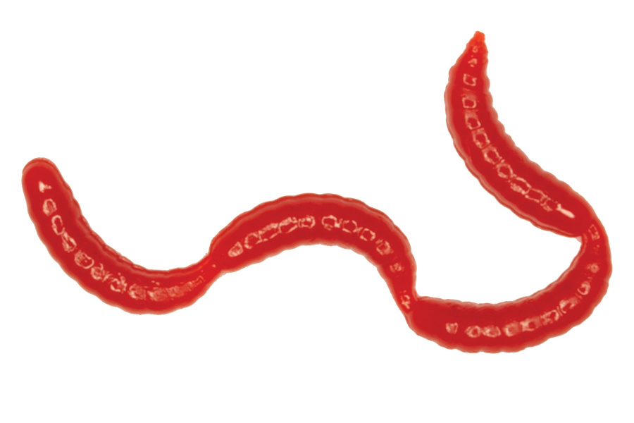 Мягкие приманки LureMax MAGGOT 0,5''/1см LSMG05B-019 Blood Red (банка), Красный, LSMG05B-019
Мягкие приманки LureMax MAGGOT 0,5''/1см LSMG05B-019 Blood Red (банка), Красный, LSMG05B-019