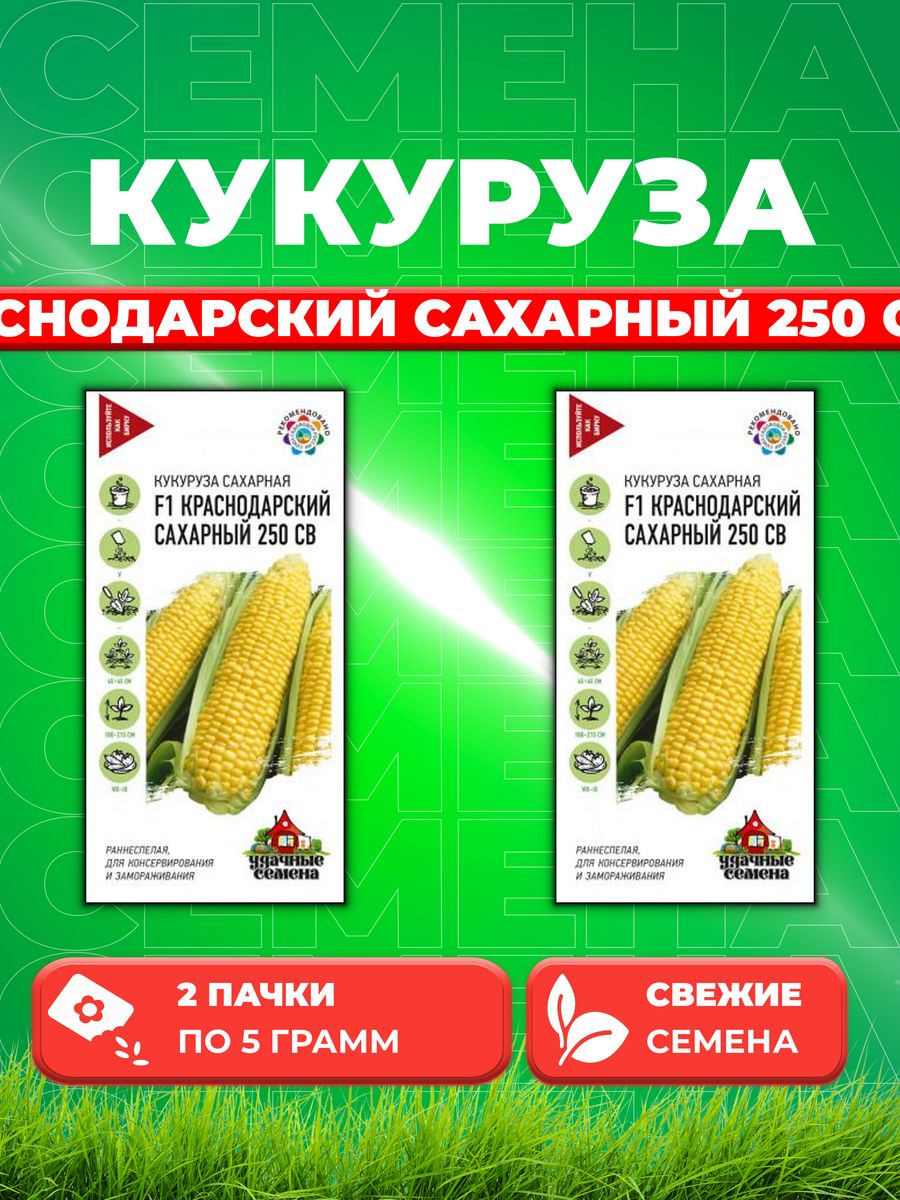 Семена кукуруза Краснодарский сахарный 250 СВ F1 Удачные семена 10002400-2 2 уп.
Семена кукуруза Краснодарский сахарный 250 СВ F1 Удачные семена 10002400-2 2 уп.