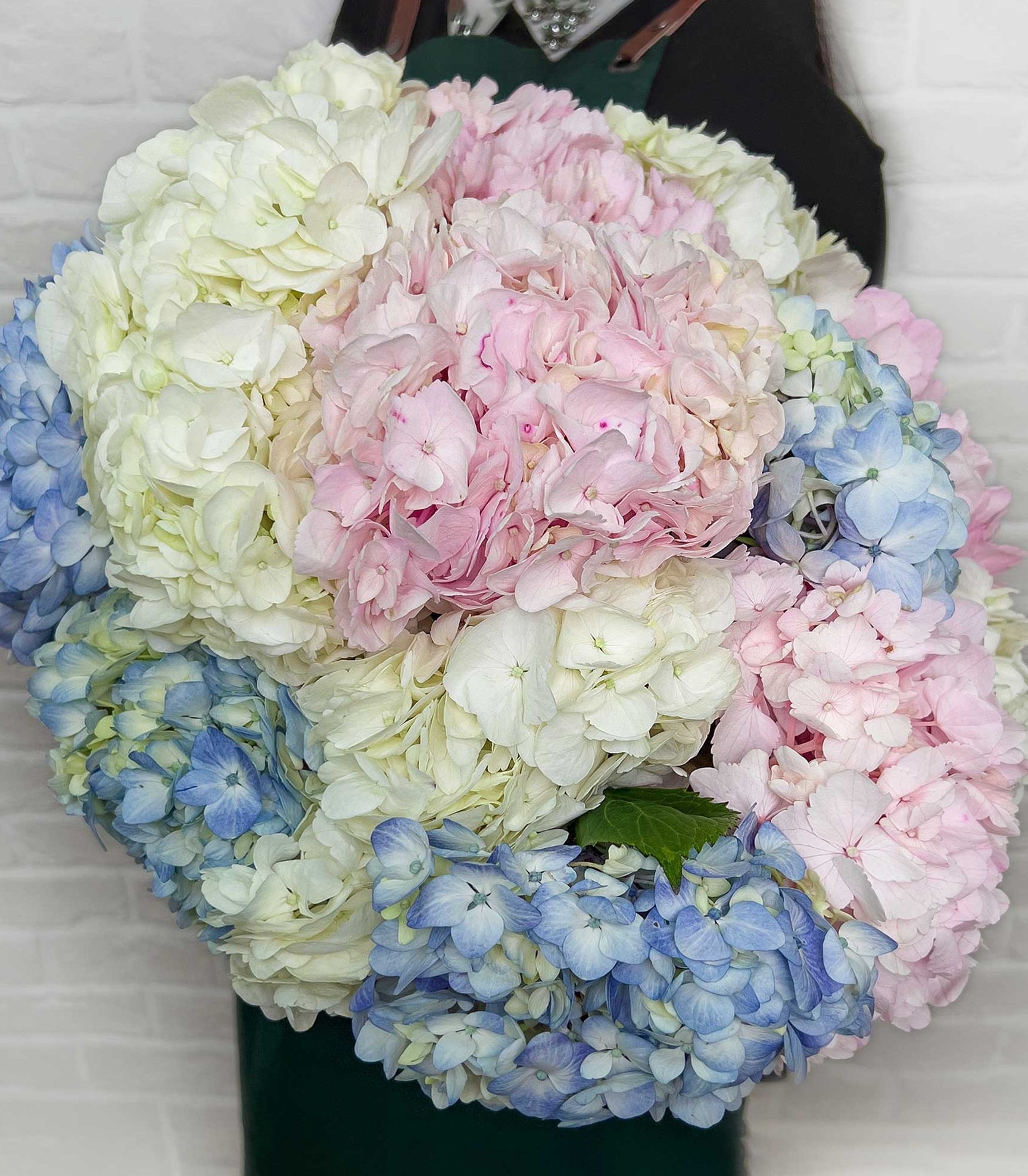 Монобукет Studio Floristic гортензия 50 см x 50 см 15 шт. разноцветный 3709, Ничего лишнего
Монобукет Studio Floristic гортензия 50 см x 50 см 15 шт. разноцветный 3709, Ничего лишнего