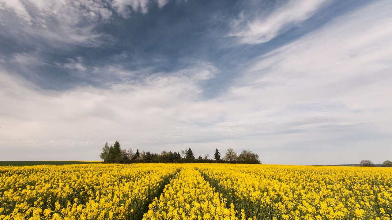 Картина на холсте 60x110 LinxOne Природа, пейзаж, натура, флора
Картина на холсте 60x110 LinxOne Природа, пейзаж, натура, флора