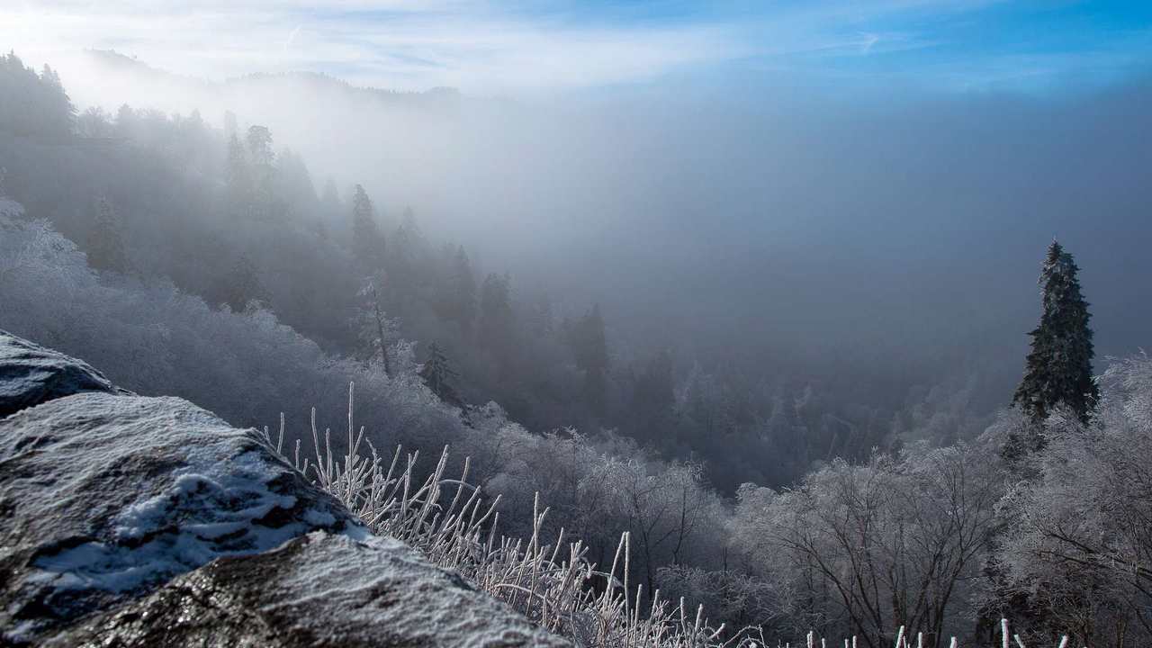 Картина на холсте 60x110 LinxOne "Природа, пейзаж, натура, флора
Картина на холсте 60x110 LinxOne "Природа, пейзаж, натура, флора