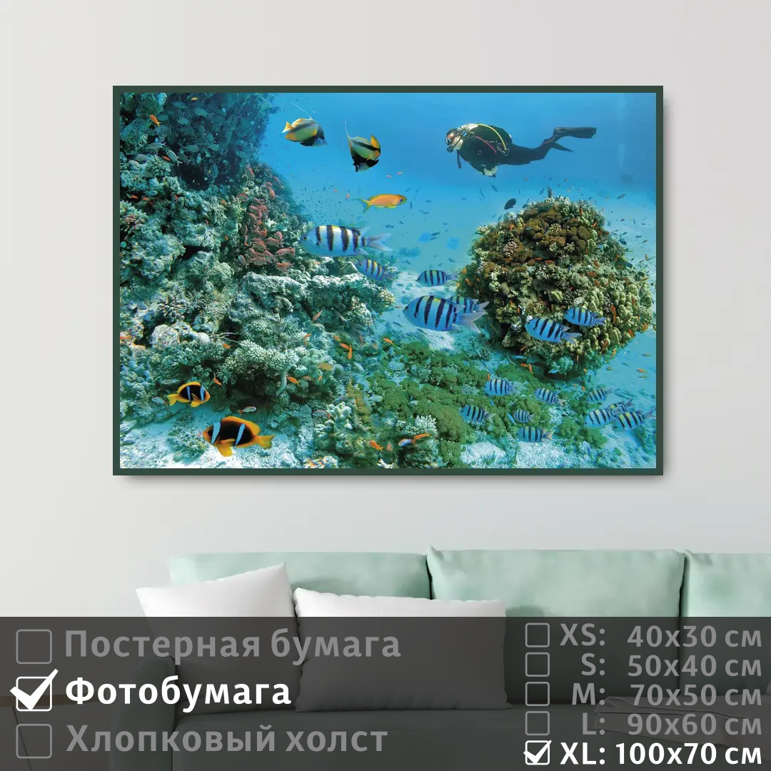 Постер на фотобумаге ПолиЦентр Морские рыбы под водой с дайвером 100х70 см, МорскиеРыбыПодВодойСДайвером1
Постер на фотобумаге ПолиЦентр Морские рыбы под водой с дайвером 100х70 см, МорскиеРыбыПодВодойСДайвером1