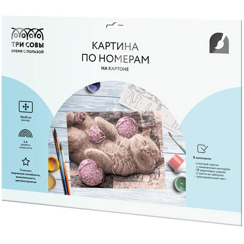 Картина по номерам на картоне ТРИ СОВЫ "Сладкий сон", 30*40, с акриловыми красками и кистя
Картина по номерам на картоне ТРИ СОВЫ "Сладкий сон", 30*40, с акриловыми красками и кистя