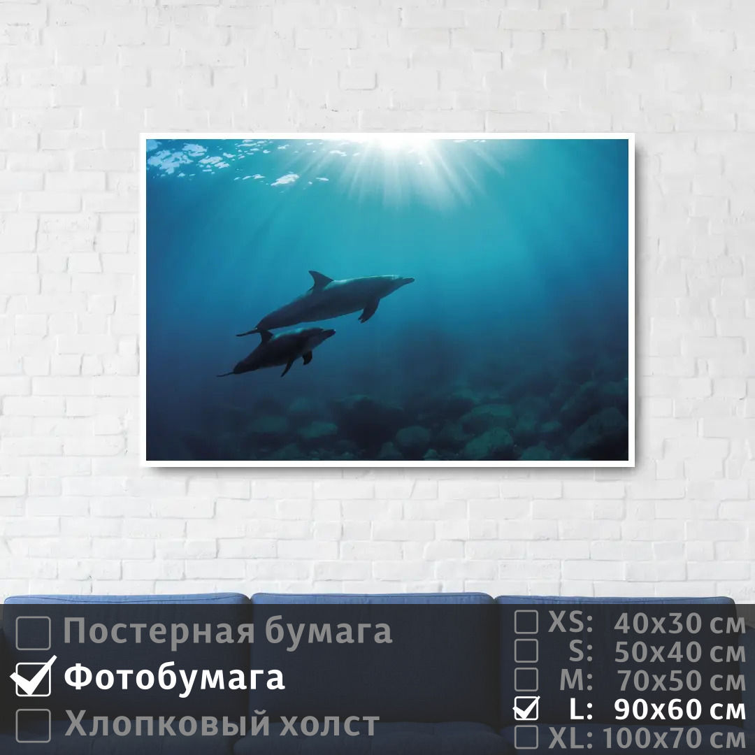Постер на фотобумаге ПолиЦентр Два дельфина плавают в глубине океана 90х60 см, ДваДельфинаПлаваютВГлубинеОкеана
Постер на фотобумаге ПолиЦентр Два дельфина плавают в глубине океана 90х60 см, ДваДельфинаПлаваютВГлубинеОкеана