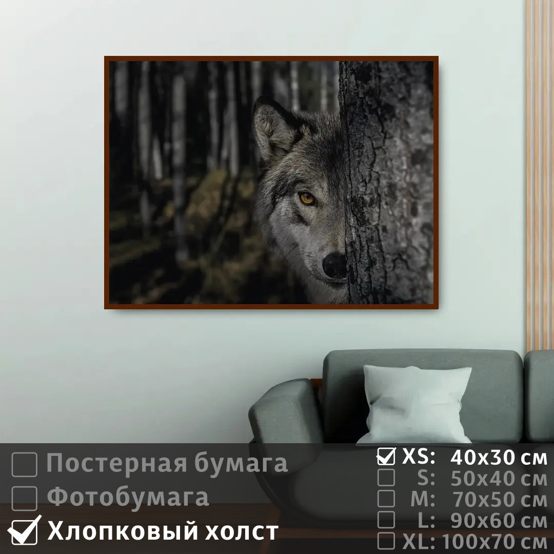 Постер на холсте ПолиЦентр Взгляд волка за деревом в темном лесу 40х30 см, ВзглядВолкаЗаДеревомВТемномЛесу
Постер на холсте ПолиЦентр Взгляд волка за деревом в темном лесу 40х30 см, ВзглядВолкаЗаДеревомВТемномЛесу
