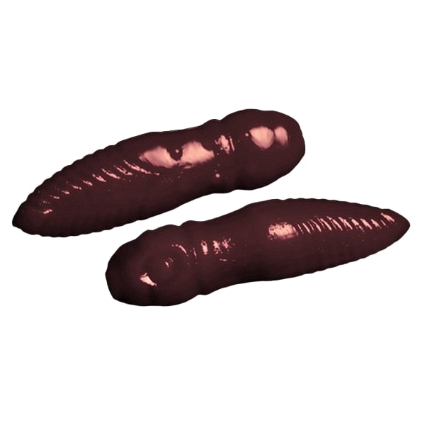Мягкие приманки Jara Baits Trout Series LURY-35 Сыр # 713 (10шт), в банке, Черный, Lury
Мягкие приманки Jara Baits Trout Series LURY-35 Сыр # 713 (10шт), в банке, Черный, Lury