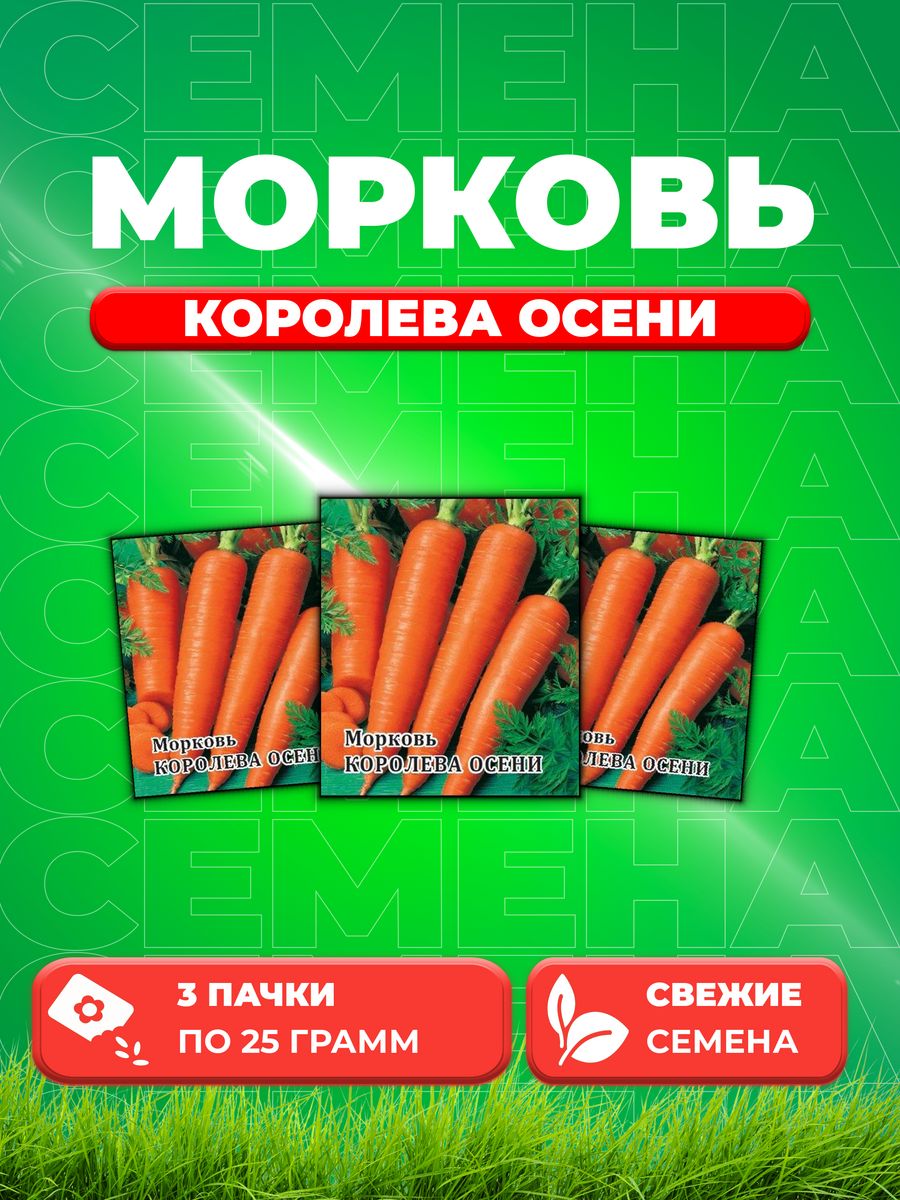 Семена Морковь Королева Осени 25,0 г 3уп 
Семена Морковь Королева Осени 25,0 г 3уп