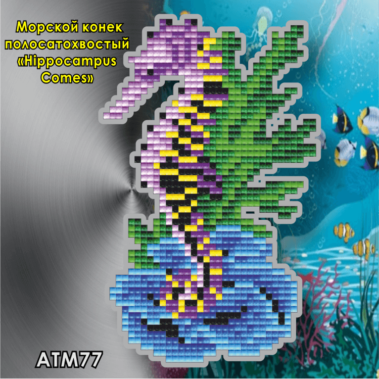 Алмазная вышивка Арт Соло «Морской конек полосатохвостый (Hippocampus Comes)» (магнит)
Алмазная вышивка Арт Соло «Морской конек полосатохвостый (Hippocampus Comes)» (магнит)