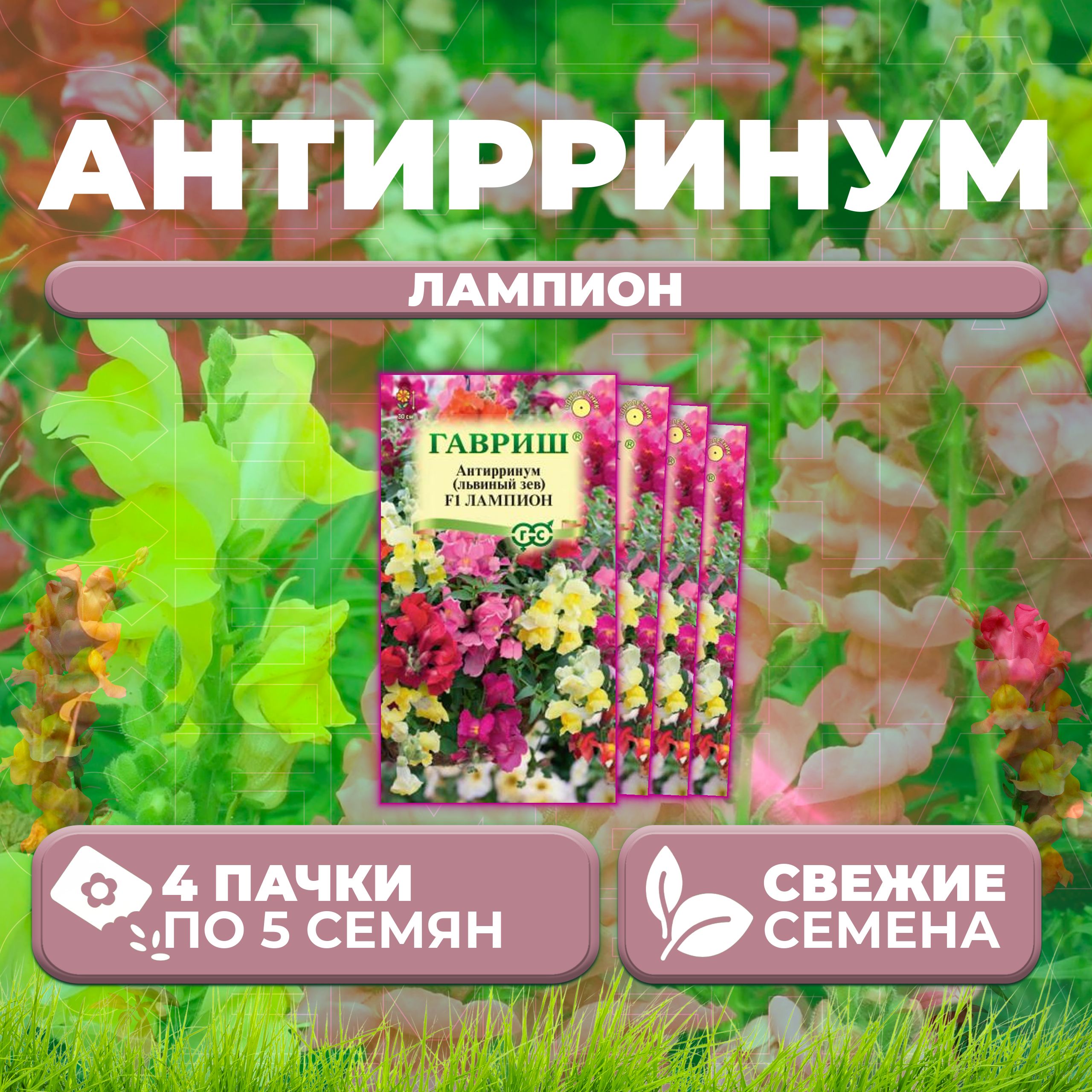 Семена Антирринум Львиный зев Лампион, смесь, 5шт, Гавриш, Цветочная коллекция 4 уп
Семена Антирринум Львиный зев Лампион, смесь, 5шт, Гавриш, Цветочная коллекция 4 уп