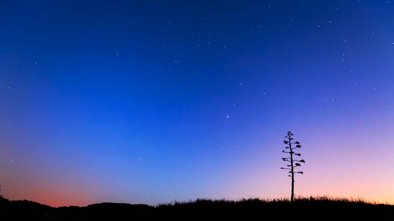 Картина на холсте 60x110 LinxOne "Природа, пейзаж, натура, флора
Картина на холсте 60x110 LinxOne "Природа, пейзаж, натура, флора