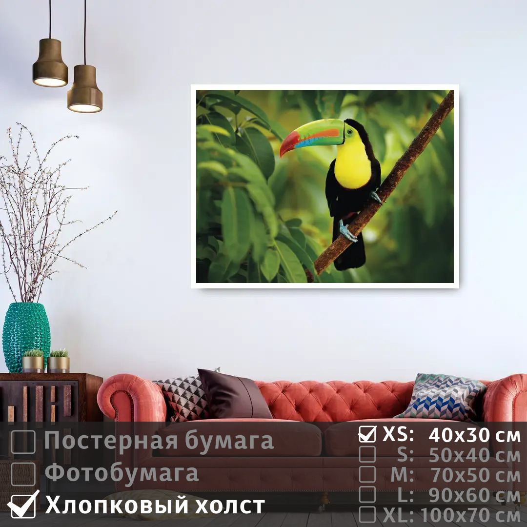 Постер на холсте ПолиЦентр Тропическая птица тукан сидит на ветке 40х30 см, ТропическаяПтицаТуканСидитНаВетке
Постер на холсте ПолиЦентр Тропическая птица тукан сидит на ветке 40х30 см, ТропическаяПтицаТуканСидитНаВетке
