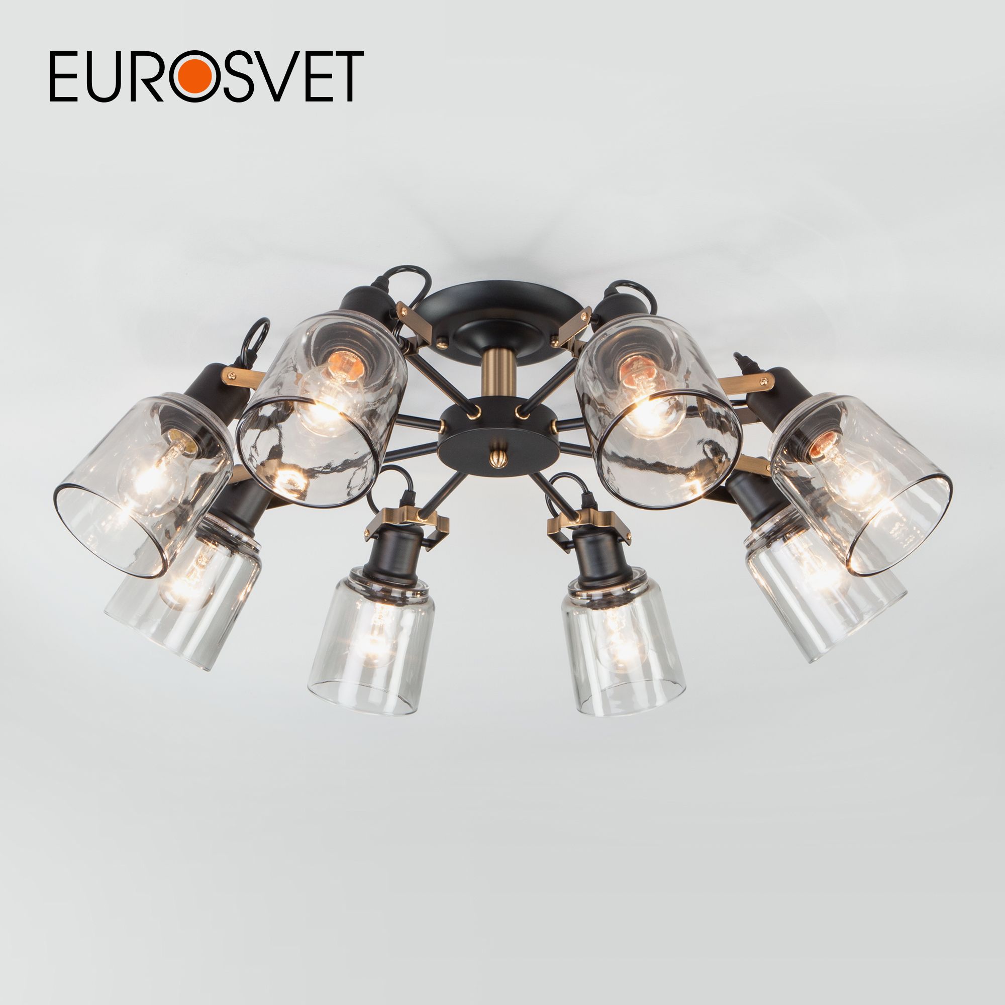 Потолочная люстра на 8 стеклянных плафонов Eurosvet Astor 70111/8 Е27 черный, 70111/8 черный
Потолочная люстра на 8 стеклянных плафонов Eurosvet Astor 70111/8 Е27 черный, 70111/8 черный