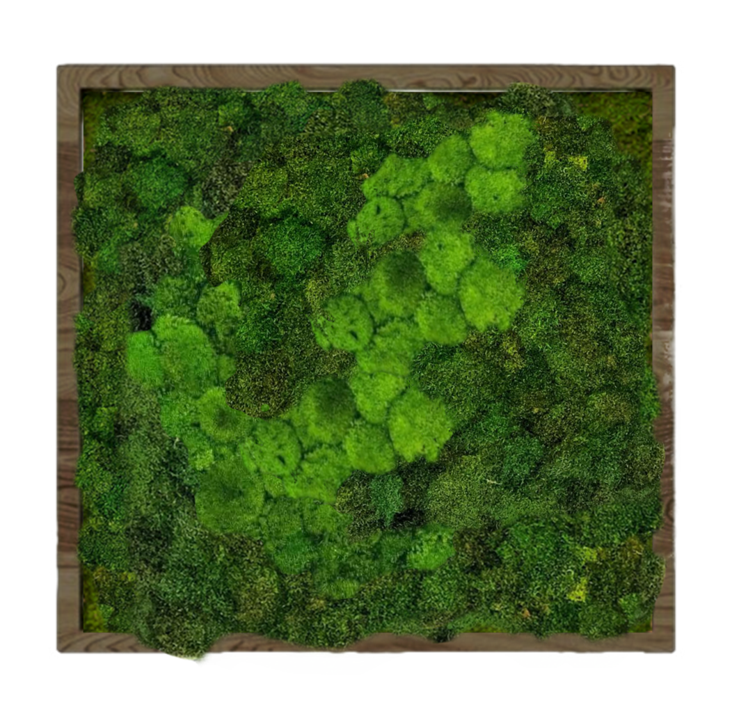 Панно для интерьера GardenGo 90х90см из натурального стабилизированного мха зеленого цвета, 11
Панно для интерьера GardenGo 90х90см из натурального стабилизированного мха зеленого цвета, 11