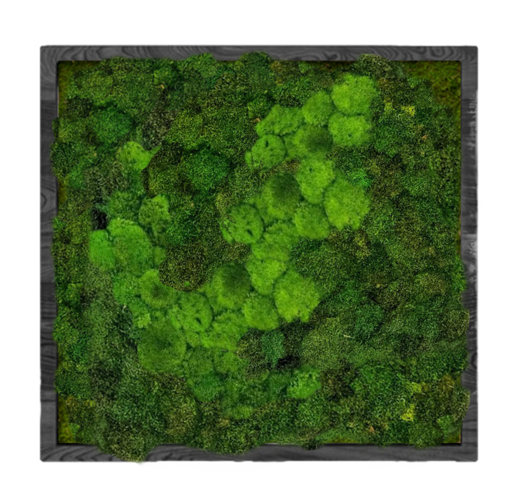 Панно для интерьера GardenGo 90х90см из натурального стабилизированного мха зеленого цвета, 11
Панно для интерьера GardenGo 90х90см из натурального стабилизированного мха зеленого цвета, 11
