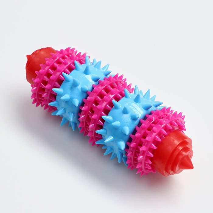 Игрушка жевательная 15,5 х 5,5 см, красная/розовая/голубая
Игрушка жевательная 15,5 х 5,5 см, красная/розовая/голубая