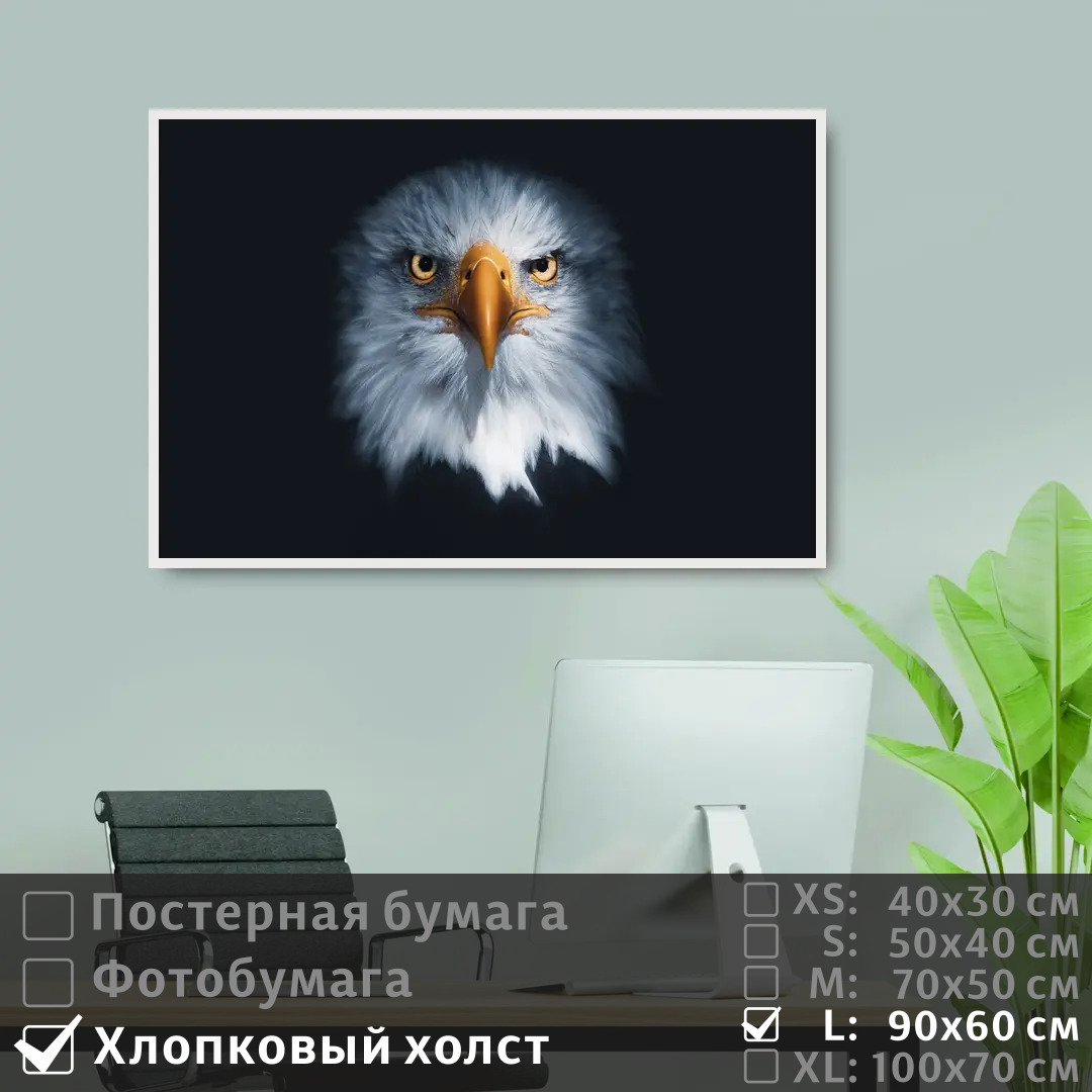 Постер на холсте ПолиЦентр Хищная сова с оранжевым клювом 90х60 см, ХищнаяСоваСОранжевымКлювом
Постер на холсте ПолиЦентр Хищная сова с оранжевым клювом 90х60 см, ХищнаяСоваСОранжевымКлювом