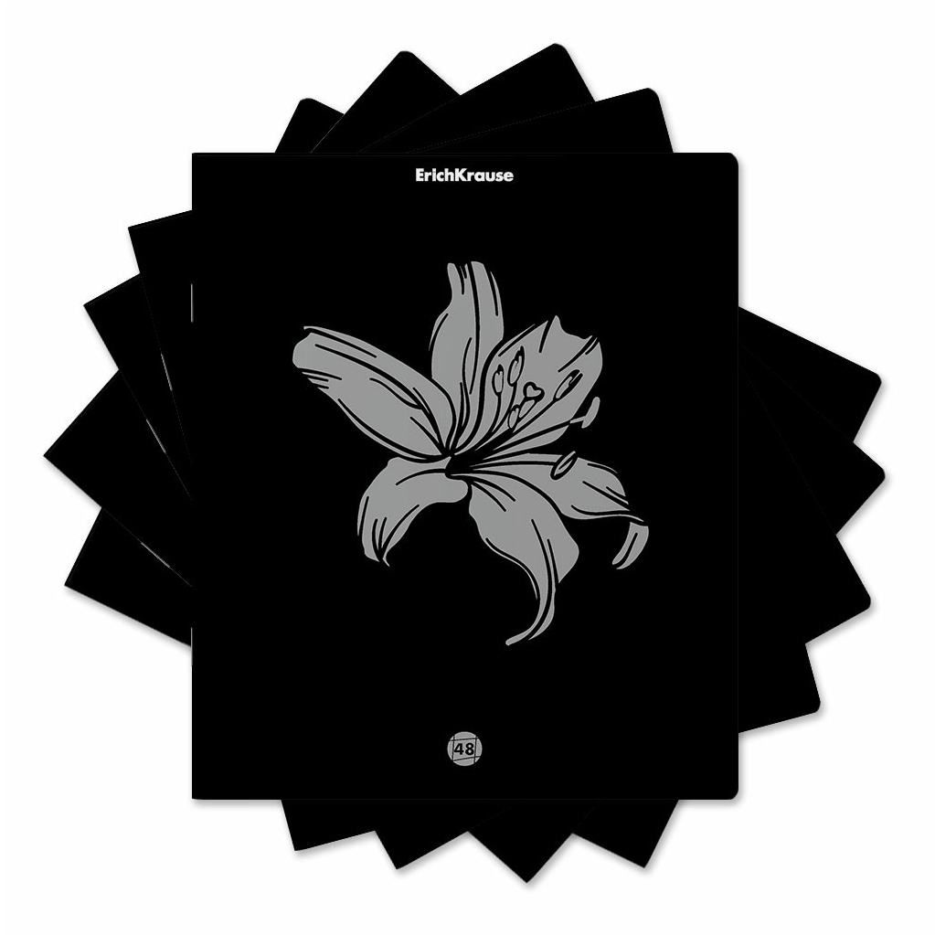 Тетрадь общая ErichKrause Silver Flowers 48 листов А5+ на скобе в клетку в ассортименте
Тетрадь общая ErichKrause Silver Flowers 48 листов А5+ на скобе в клетку в ассортименте