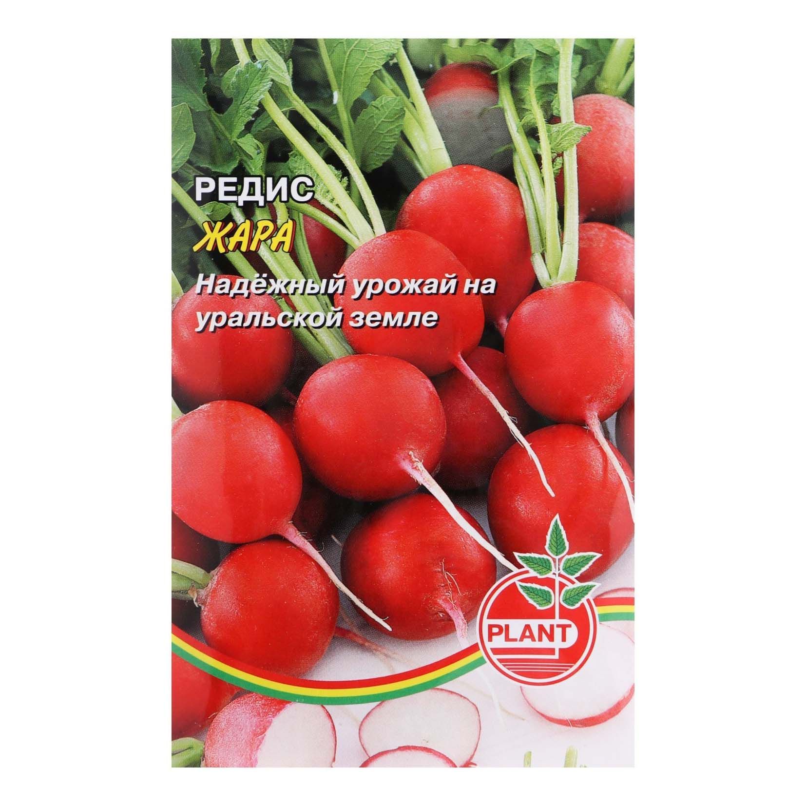 Семена Редис Жара Plant 1 уп.
Семена Редис Жара Plant 1 уп.