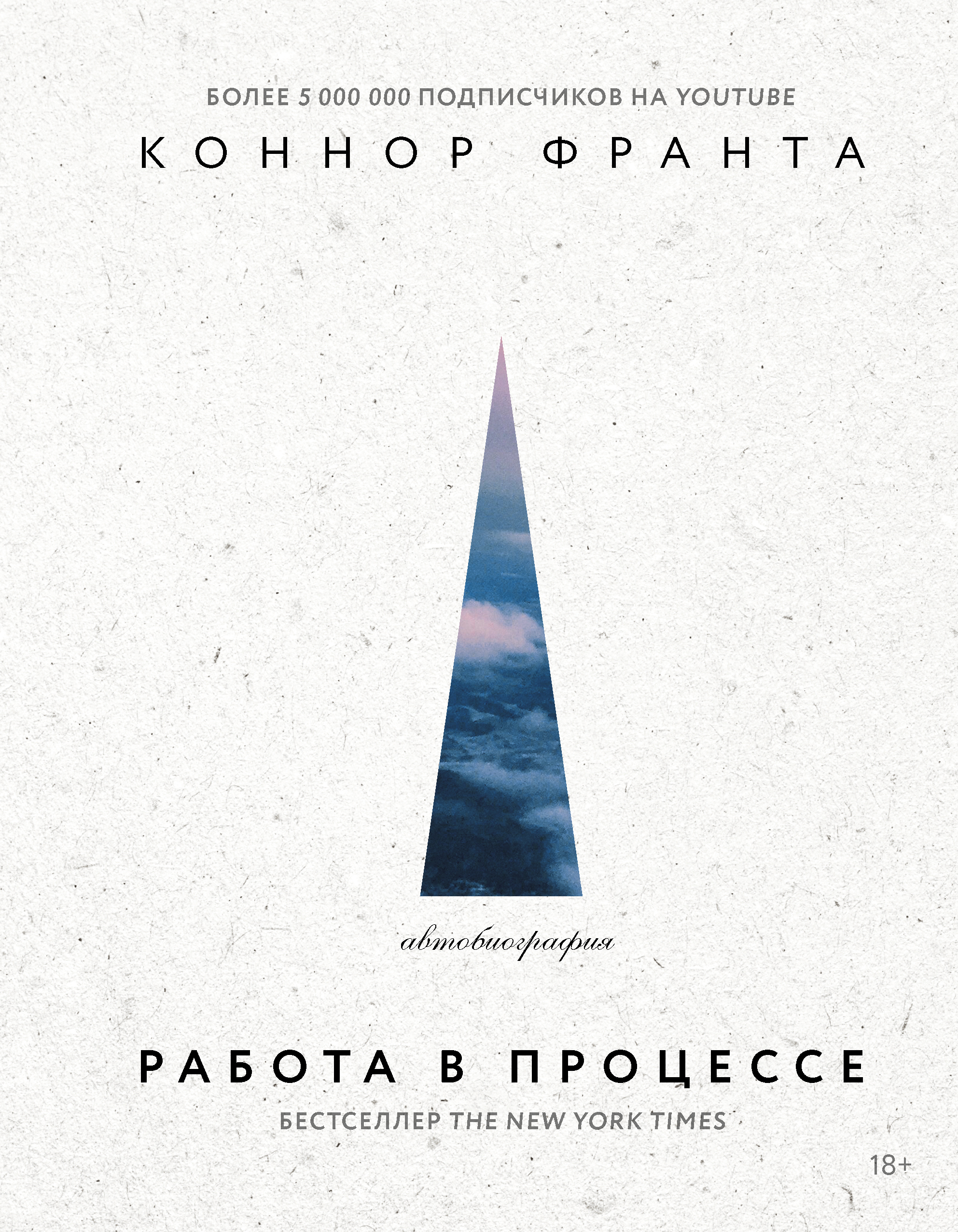 фото Книга работа в процессе аст
