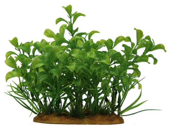 Искусственное растение для аквариума ArtUniq Ludwigia green 15, пластик, Ludwigia green 15
Искусственное растение для аквариума ArtUniq Ludwigia green 15, пластик, Ludwigia green 15