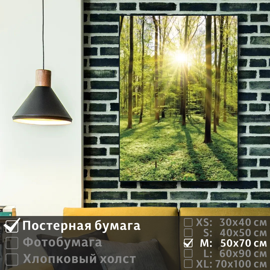 Постер на стену ПолиЦентр Лучи утреннего солнца в весеннем лесу 50х70 см, ЛучиУтреннегоСолнцаВВесеннемЛесу
Постер на стену ПолиЦентр Лучи утреннего солнца в весеннем лесу 50х70 см, ЛучиУтреннегоСолнцаВВесеннемЛесу