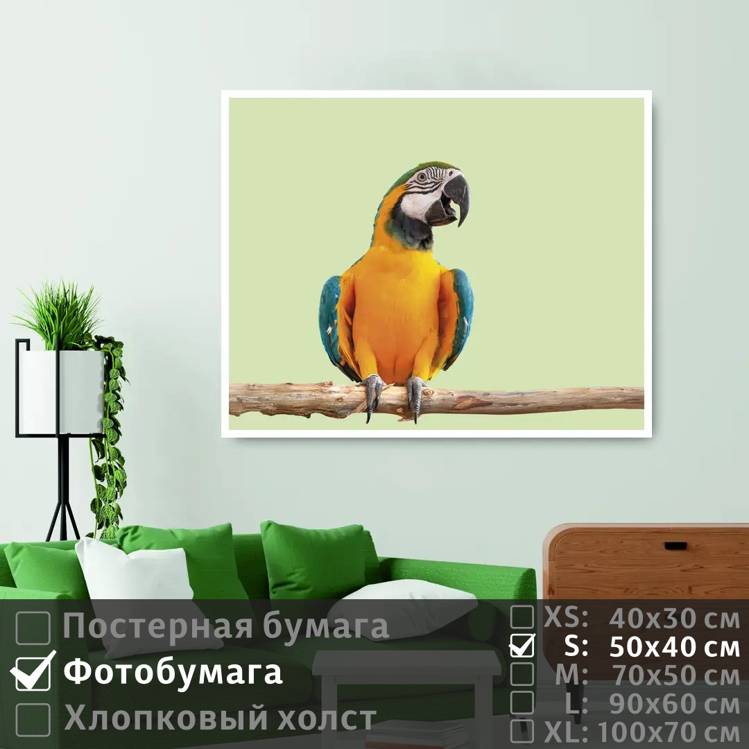 Постер на фотобумаге ПолиЦентр Яркий попугай ара на ветке 50х40 см, ЯркийПопугайАраНаВетке
Постер на фотобумаге ПолиЦентр Яркий попугай ара на ветке 50х40 см, ЯркийПопугайАраНаВетке