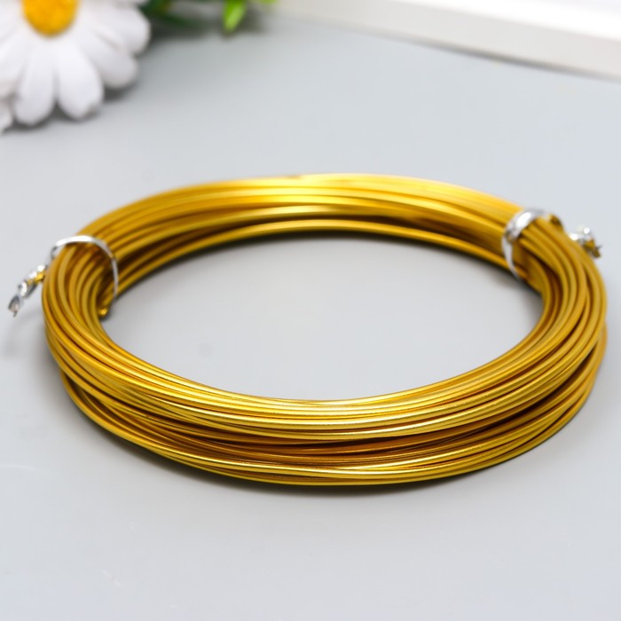 Проволока для творчества d 1,5 мм, золото рул.10 м, Золотистый, Floristic magic
Проволока для творчества d 1,5 мм, золото рул.10 м, Золотистый, Floristic magic