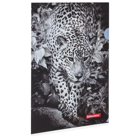 Папка-уголок BRAUBERG "LEOPARD", А4, 150 мкм, цветная печать, 228040, (10шт.), Разноцветный
Папка-уголок BRAUBERG "LEOPARD", А4, 150 мкм, цветная печать, 228040, (10шт.), Разноцветный