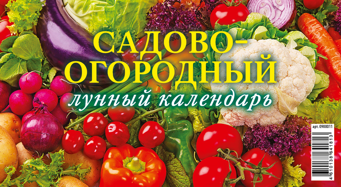 Календарь настольный перекидной Атберг 98 Садово-огородный лунный на 2022 год 17,5х20 см
Календарь настольный перекидной Атберг 98 Садово-огородный лунный на 2022 год 17,5х20 см