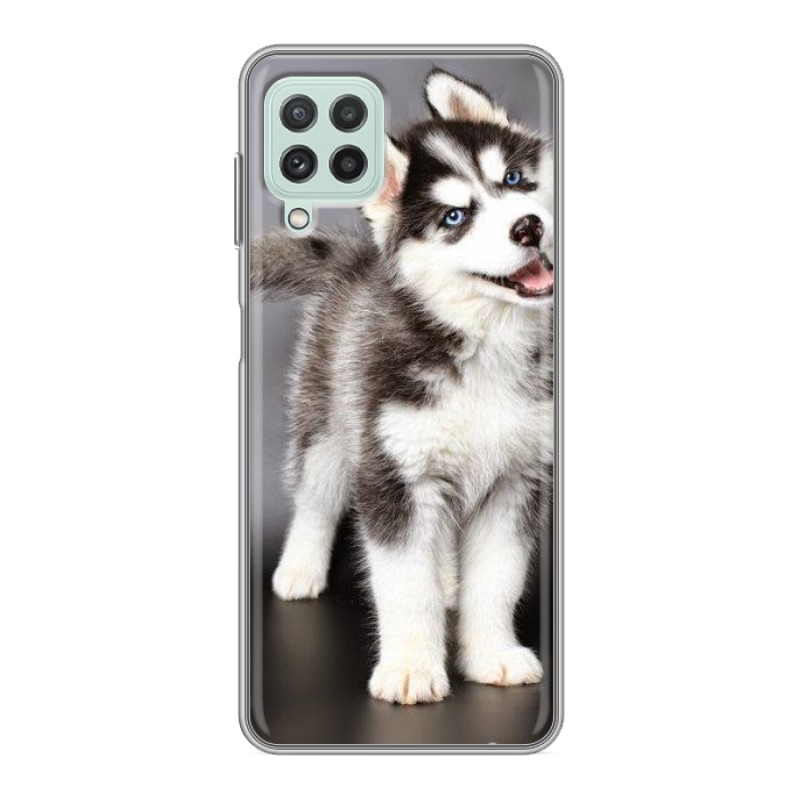 Чехол на Samsung Galaxy A22/M22 / Samsung Galaxy M22 (SM-M225) с рисунком и защитой камеры
Чехол на Samsung Galaxy A22/M22 / Samsung Galaxy M22 (SM-M225) с рисунком и защитой камеры