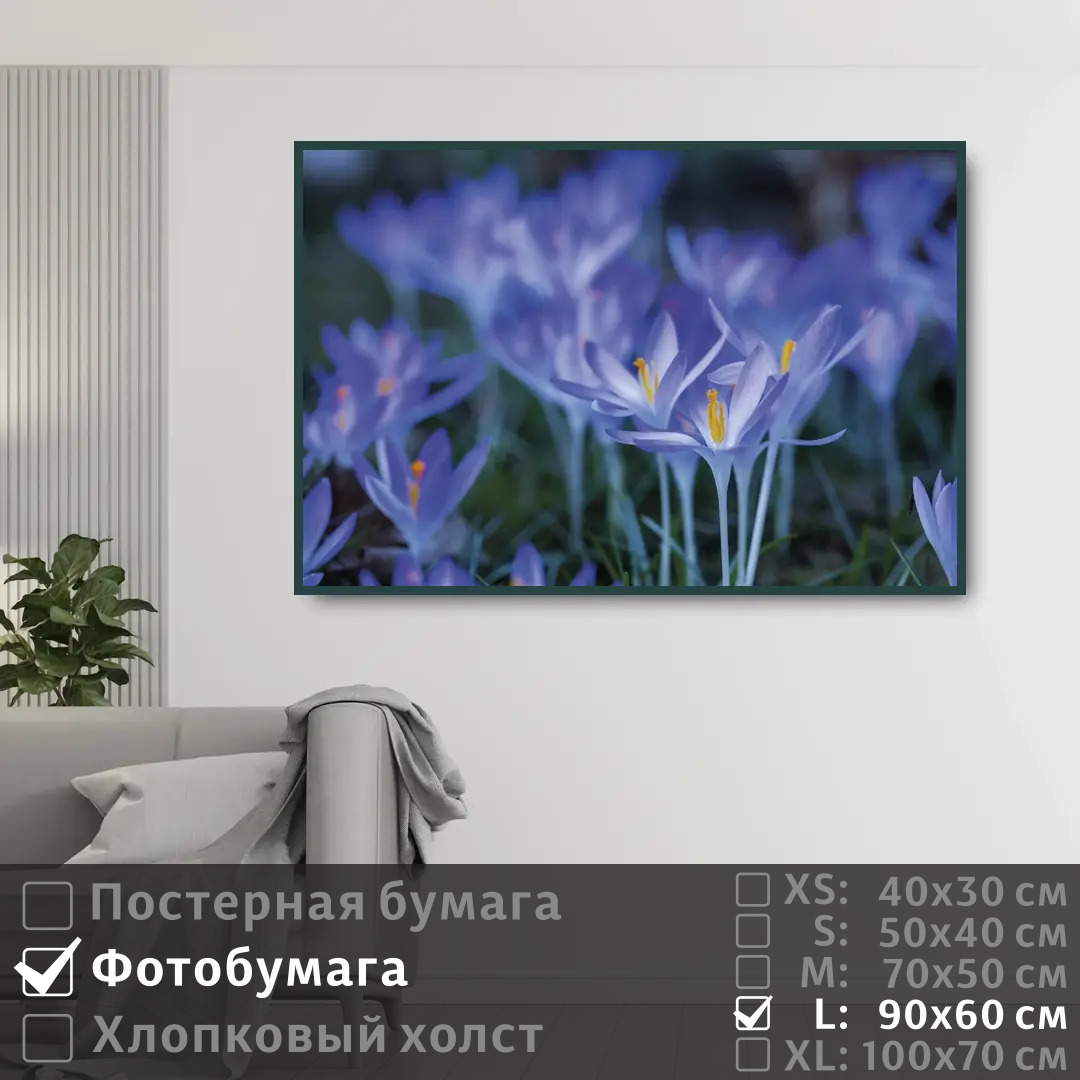 Постер на фотобумаге ПолиЦентр Весенние синие цветы крокусы 90х60 см, ВесенниеСиниеЦветыКрокусы
Постер на фотобумаге ПолиЦентр Весенние синие цветы крокусы 90х60 см, ВесенниеСиниеЦветыКрокусы