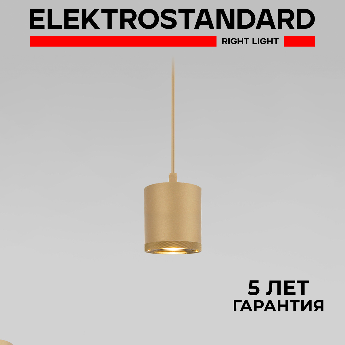 Подвесной светильник Elektrostandard Lead 50243 LED 12W 4200K золото с металл. плафоном, Lead 190923
Подвесной светильник Elektrostandard Lead 50243 LED 12W 4200K золото с металл. плафоном, Lead 190923