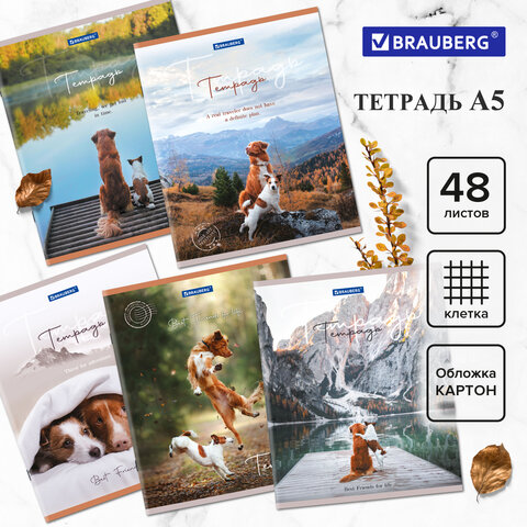 Тетрадь А5 48 л. BRAUBERG скоба, клетка, обложка картон, "Best Friends", 404360, (10шт.)
Тетрадь А5 48 л. BRAUBERG скоба, клетка, обложка картон, "Best Friends", 404360, (10шт.)