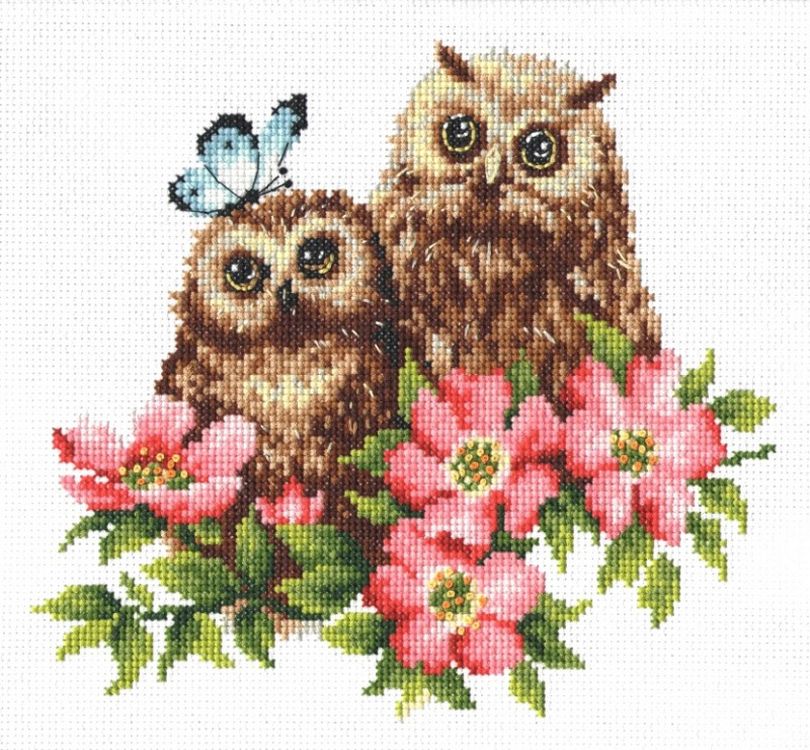 Набор для вышивания Многоцветница Совушки МКН 20-14
Набор для вышивания Многоцветница Совушки МКН 20-14