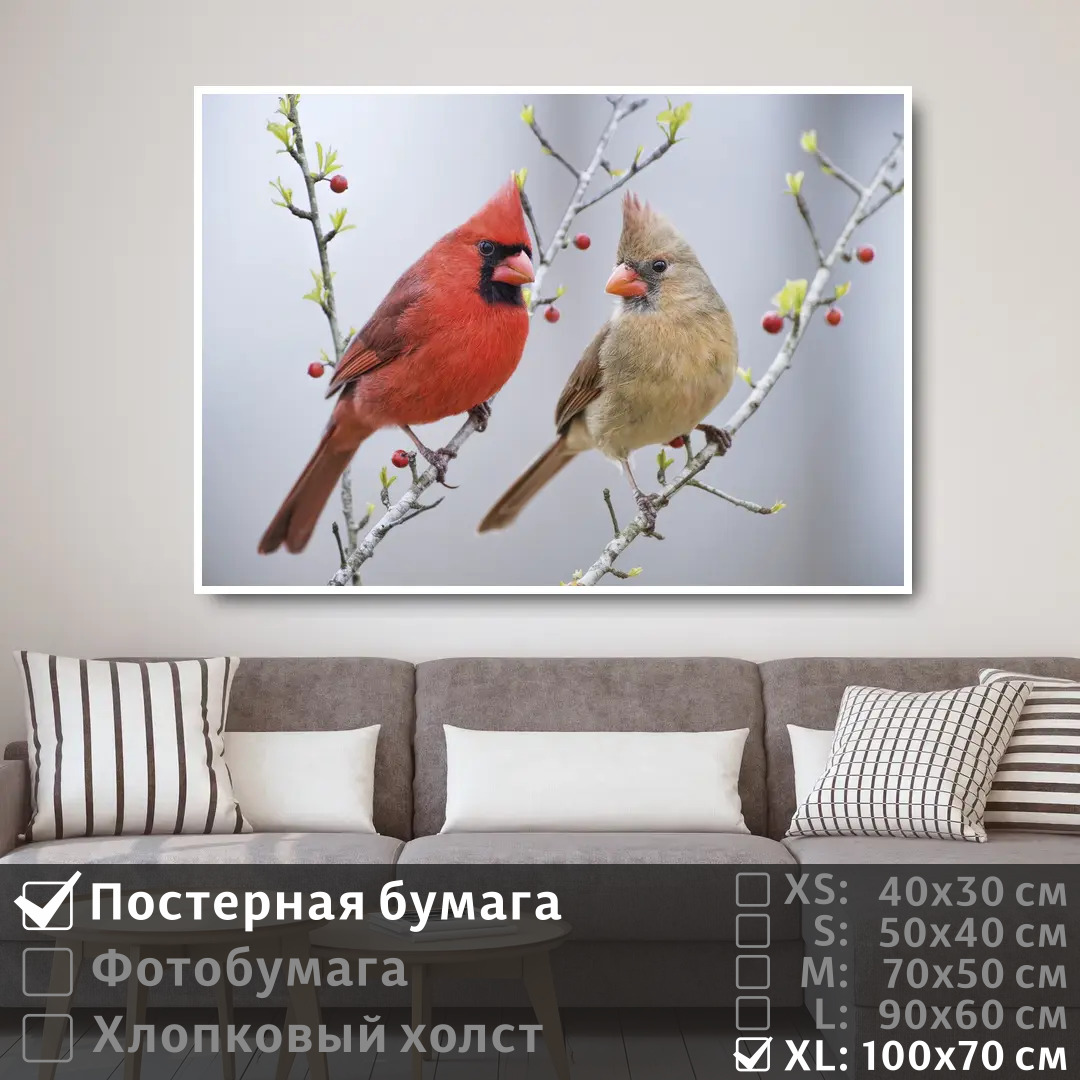 Постер на стену ПолиЦентр Две хохлатые птички сидят на ветке с ягодами 100х70 см, ДвеХохлатыеПтичкиСидятНаВеткеСЯгодами1
Постер на стену ПолиЦентр Две хохлатые птички сидят на ветке с ягодами 100х70 см, ДвеХохлатыеПтичкиСидятНаВеткеСЯгодами1