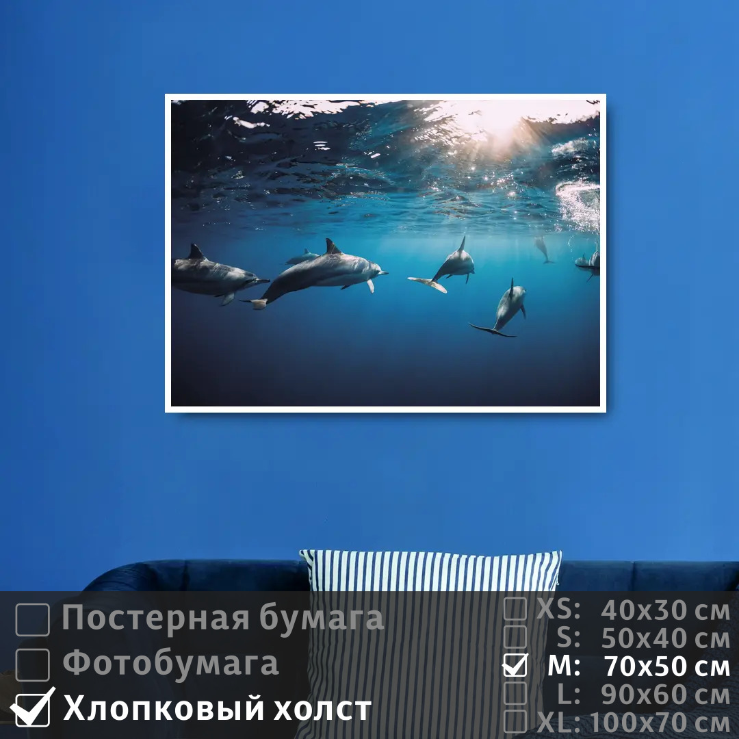 Постер на холсте ПолиЦентр Дельфины под водой плывут к солнечным лучам 70х50 см, ДельфиныПодВодойПлывутКСолнечнымЛучам
Постер на холсте ПолиЦентр Дельфины под водой плывут к солнечным лучам 70х50 см, ДельфиныПодВодойПлывутКСолнечнымЛучам