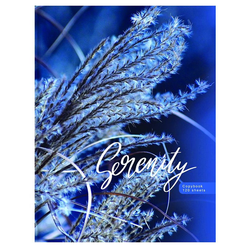 BG на кольцах А5, 120 л, Blue serenity, глянцевая ламинация, на кольцах А5, 120 л, Blue serenity, глянцевая ламинация
BG на кольцах А5, 120 л, Blue serenity, глянцевая ламинация, на кольцах А5, 120 л, Blue serenity, глянцевая ламинация