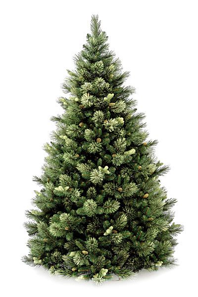 Сосна искусственная National Tree Company Каролина 31CAPC70/CAP3-401-70 213 см зеленая, Каролина с шишками
Сосна искусственная National Tree Company Каролина 31CAPC70/CAP3-401-70 213 см зеленая, Каролина с шишками