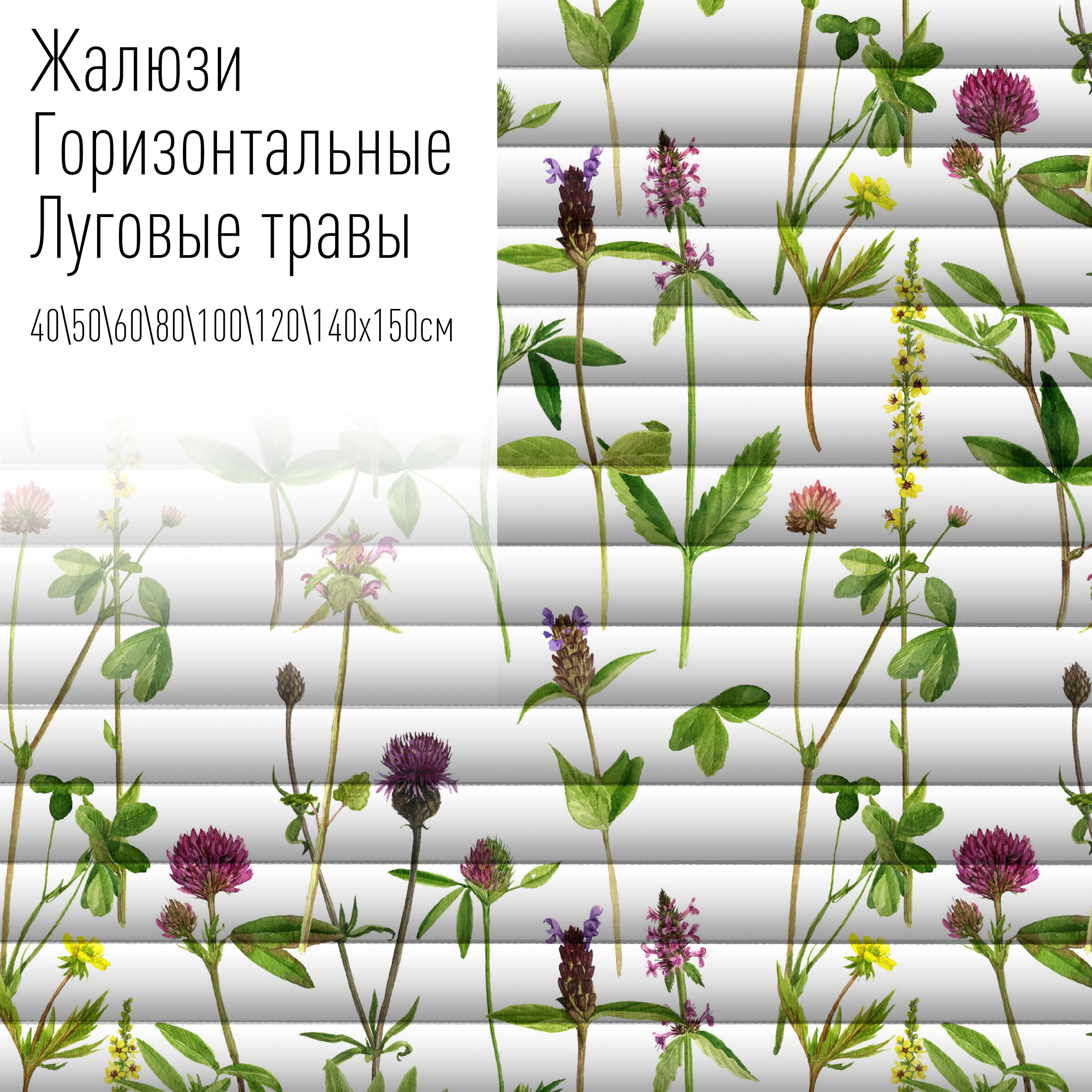 Жалюзи горизонтальные алюминиевые с фотопечатью, 40x150 см, AzarovaPro, Луговые травы, Разноцветный
Жалюзи горизонтальные алюминиевые с фотопечатью, 40x150 см, AzarovaPro, Луговые травы, Разноцветный