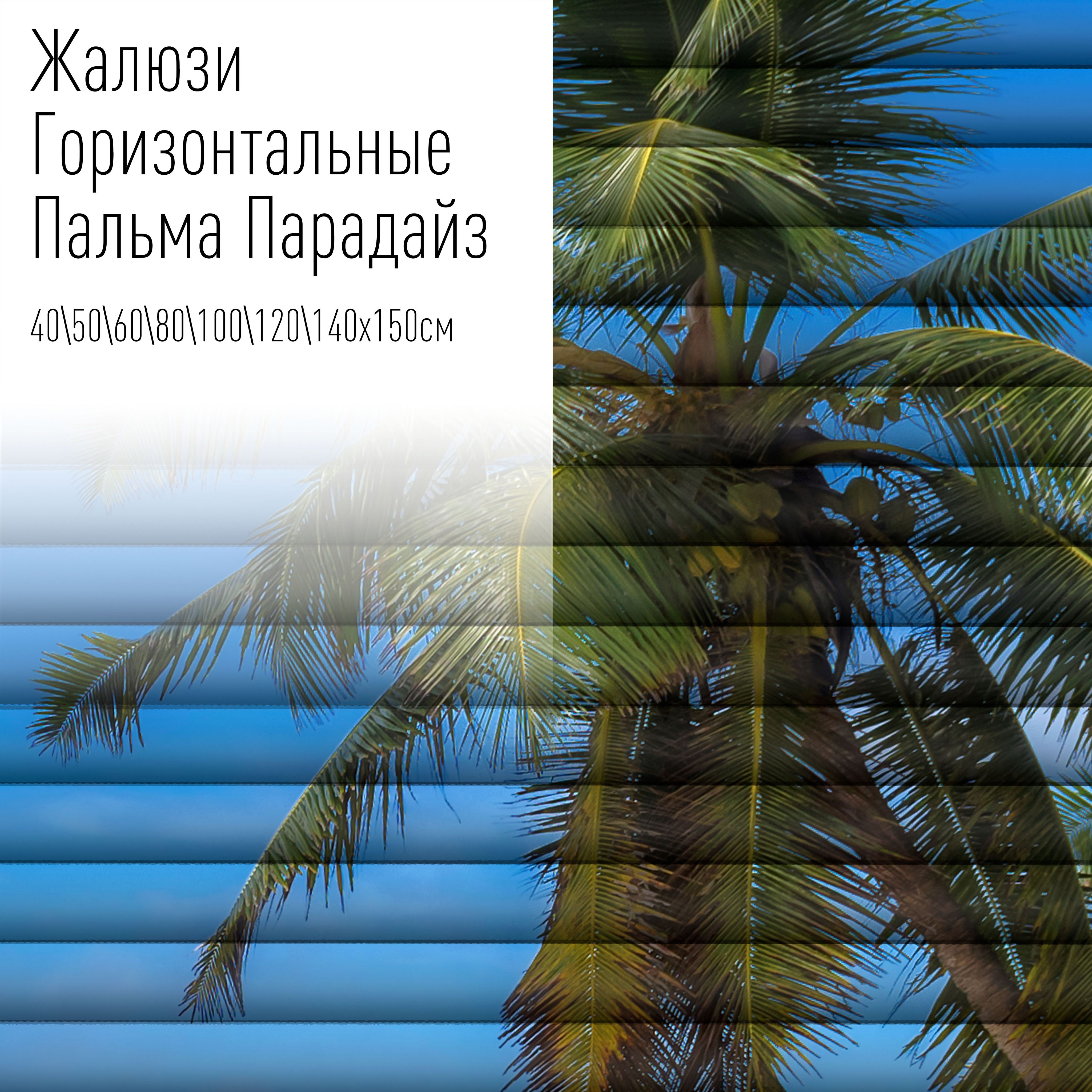 Жалюзи горизонтальные алюминиевые с фотопечатью, 100x150 см, AzarovaPro, Парадайз, Голубой
Жалюзи горизонтальные алюминиевые с фотопечатью, 100x150 см, AzarovaPro, Парадайз, Голубой