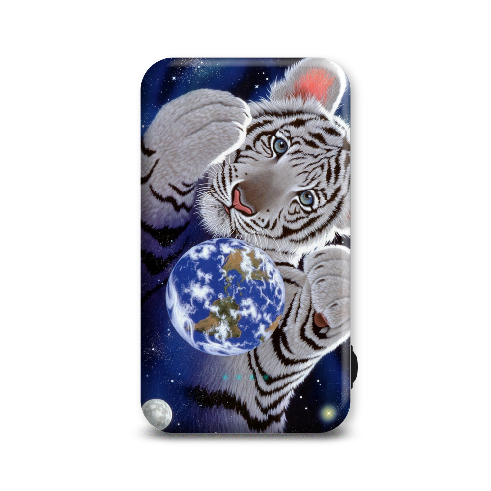 Внешний аккумулятор Case Place AC05-210-1 5000 мА/ч синий, белый, черный (AC052109R13938), AC05-210-1
Внешний аккумулятор Case Place AC05-210-1 5000 мА/ч синий, белый, черный (AC052109R13938), AC05-210-1