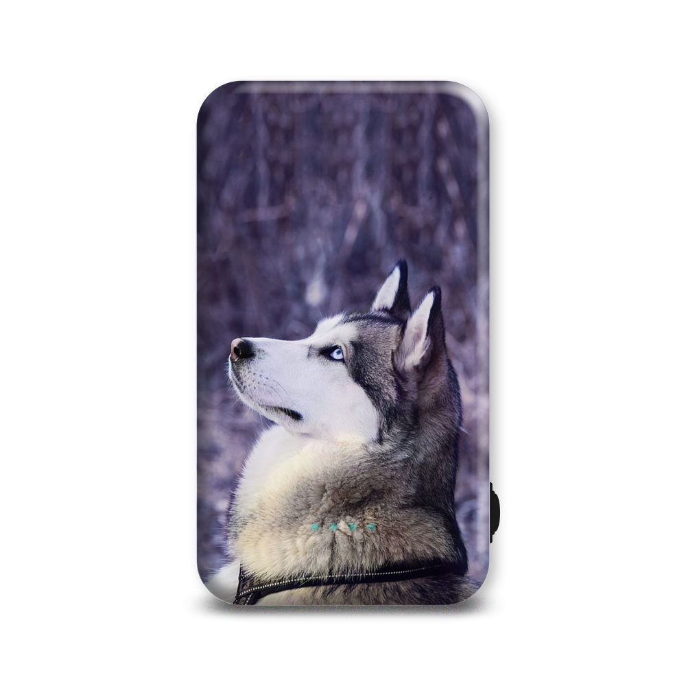 Внешний аккумулятор Case Place AC05-210-1 5000 мА/ч фиолетовый, белый (AC052109R14084), AC05-210-1
Внешний аккумулятор Case Place AC05-210-1 5000 мА/ч фиолетовый, белый (AC052109R14084), AC05-210-1