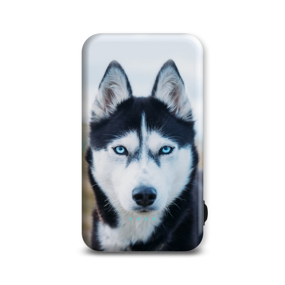 Внешний аккумулятор Case Place AC05-210-1 5000 мА/ч синий, белый (AC052109R14091), AC05-210-1
Внешний аккумулятор Case Place AC05-210-1 5000 мА/ч синий, белый (AC052109R14091), AC05-210-1